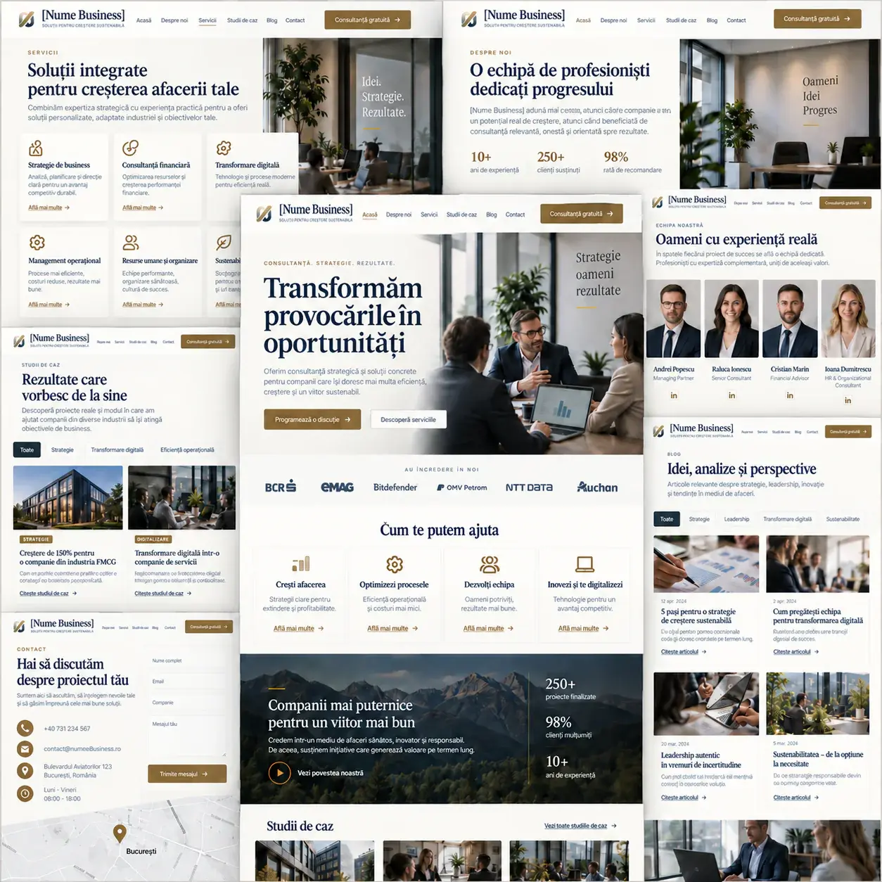 Exemplu demonstrativ de website extins pentru o companie de consultanță